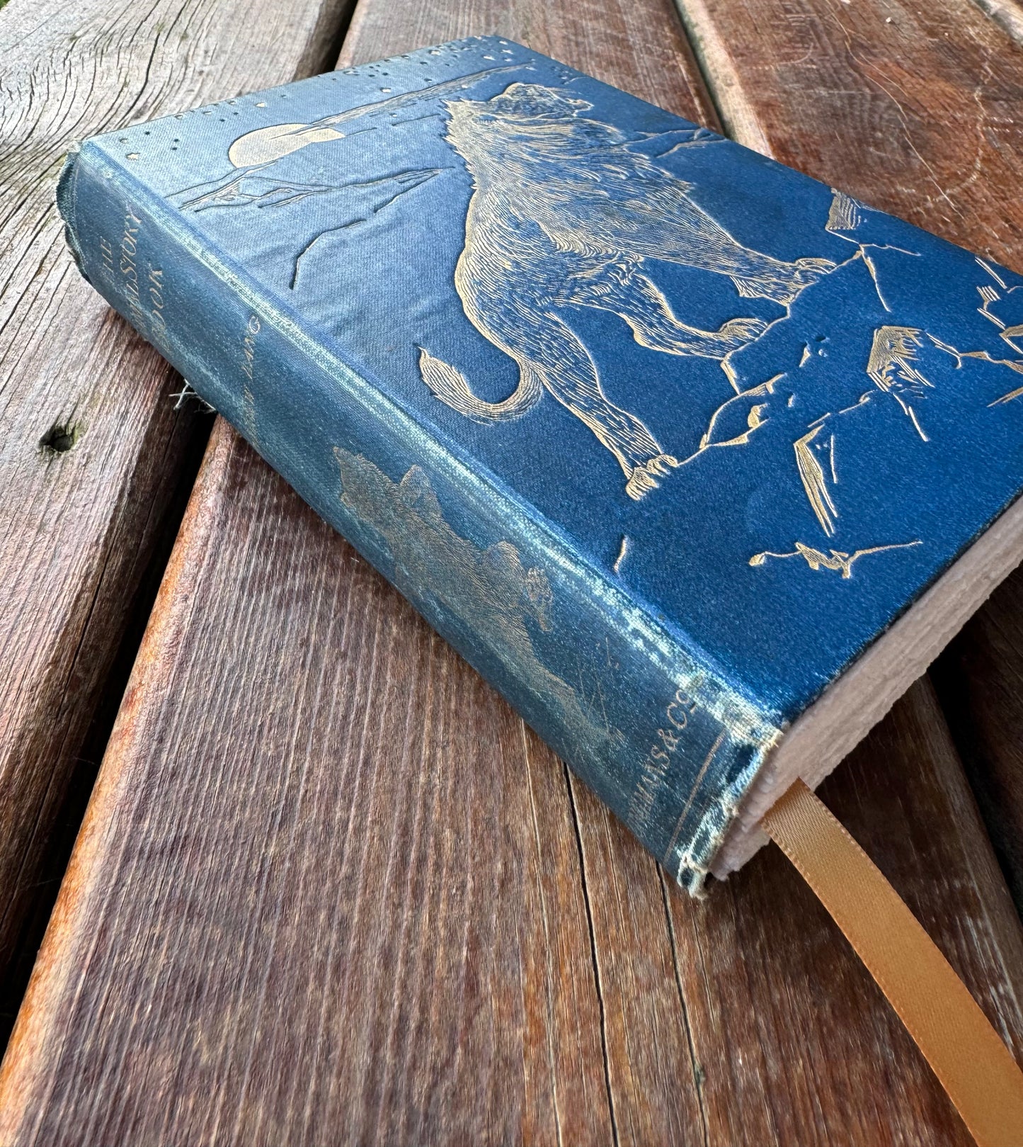 The Animal Story Book