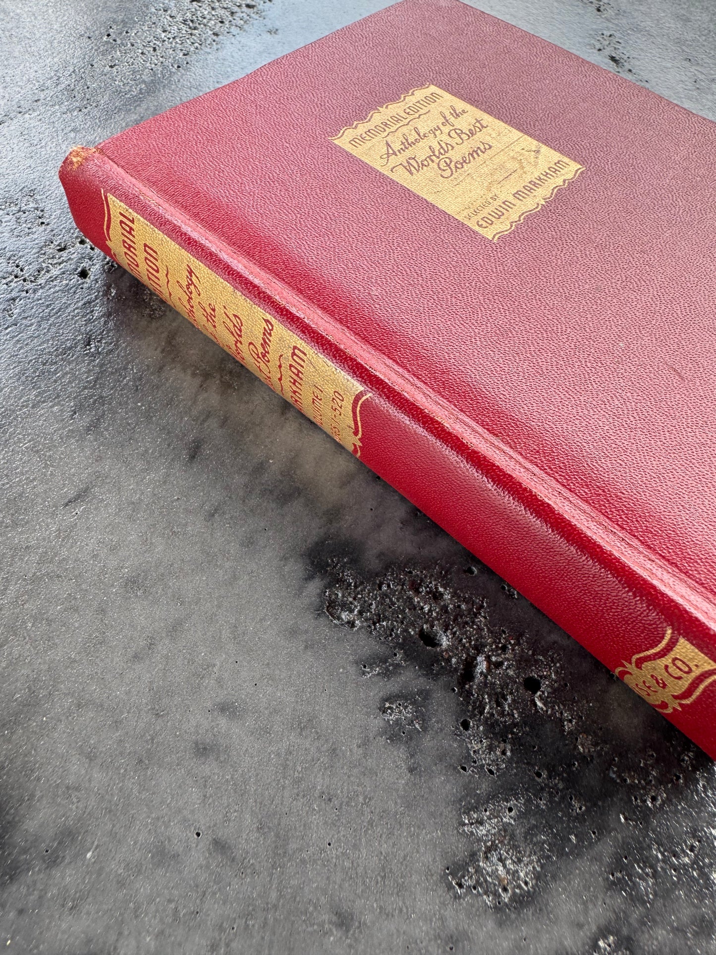 Anthology of the World’s Best Poems