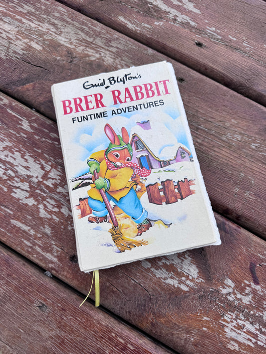 Brer Rabbit Funtime Adventures