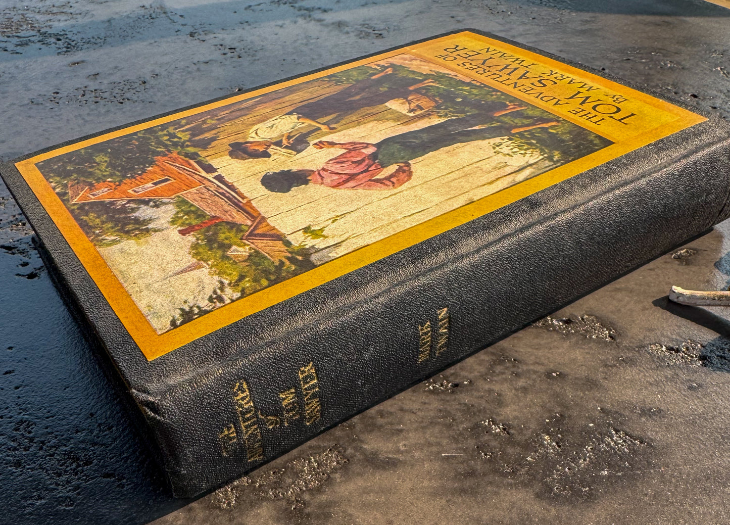 The Adventures of Tom Sawyer